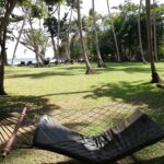 IMG 20230208 140606 IMG 20230208 140606